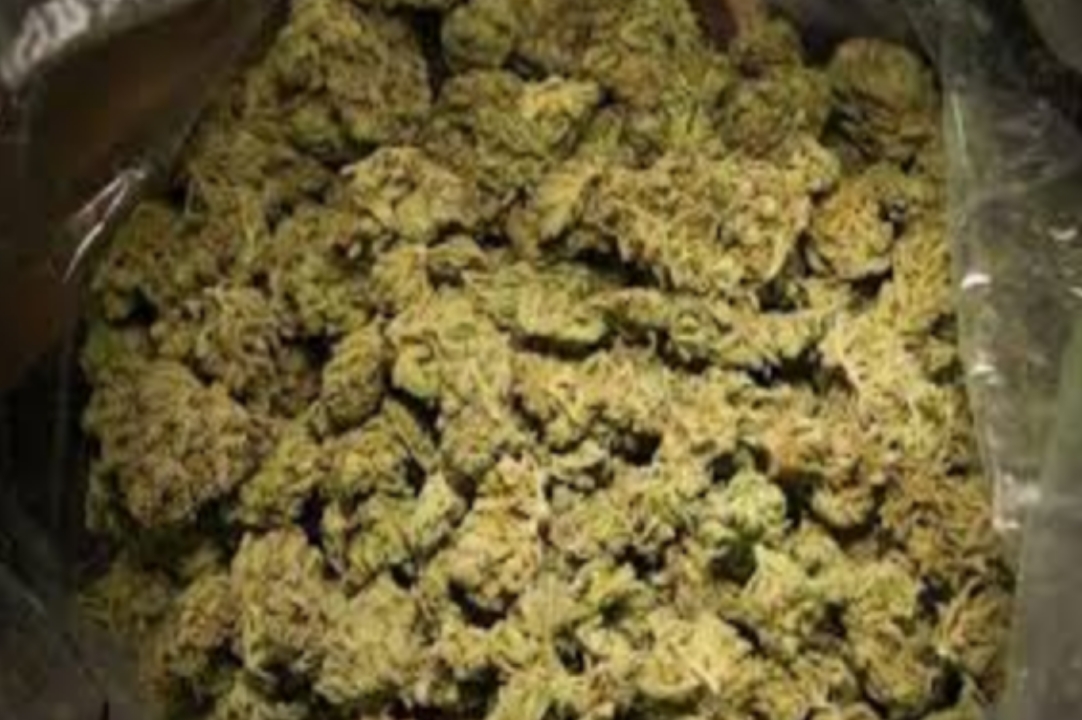 റെ​യി​ൽ​വെ സ്റ്റേ​ഷ​നി​ൽ നി​ന്ന് ക​ഞ്ചാ​വ് പി​ടി​കൂ​ടി