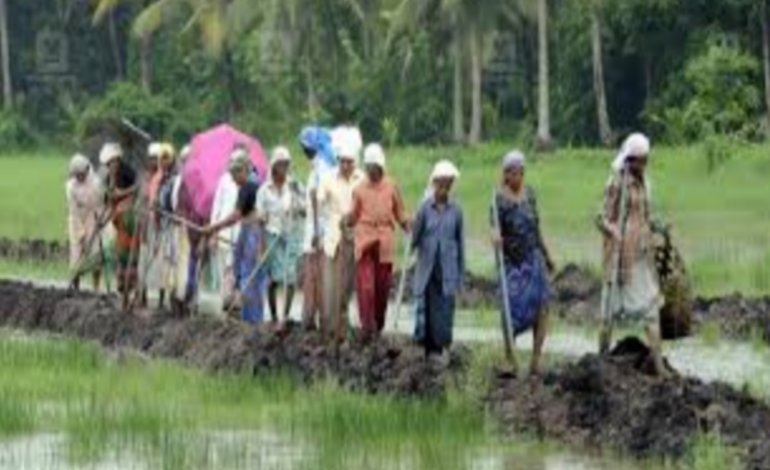 വിബിജി റാംജി നിയമം: ഡിസംബർ 26-നകം എല്ലാ ഗ്രാമപഞ്ചായത്തിലും പ്രത്യേക ഗ്രാമസഭകൾ ചേരാൻ കേന്ദ്ര നിർദ്ദേശം