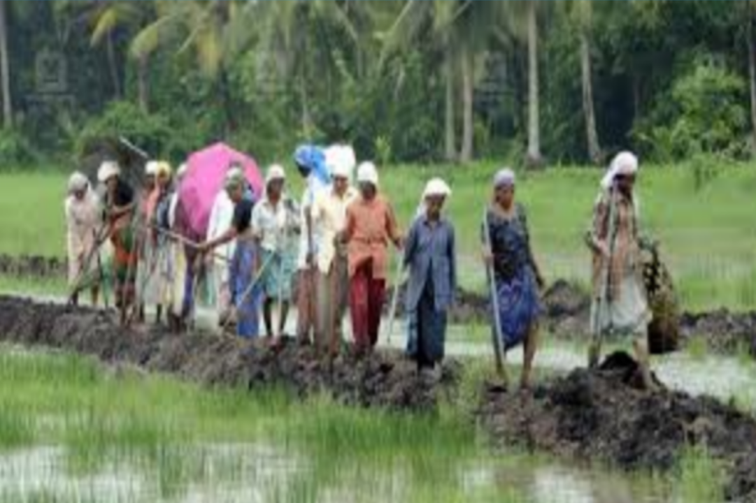 വിബിജി റാംജി നിയമം: ഡിസംബർ 26-നകം എല്ലാ ഗ്രാമപഞ്ചായത്തിലും പ്രത്യേക ഗ്രാമസഭകൾ ചേരാൻ കേന്ദ്ര നിർദ്ദേശം