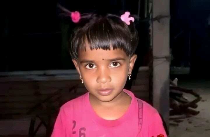 കളിച്ചുകൊണ്ടിരിക്കെ കാണാതായ 3 വയസുകാരിയെ കുളത്തിൽ മരിച്ച നിലയിൽ കണ്ടെത്തി