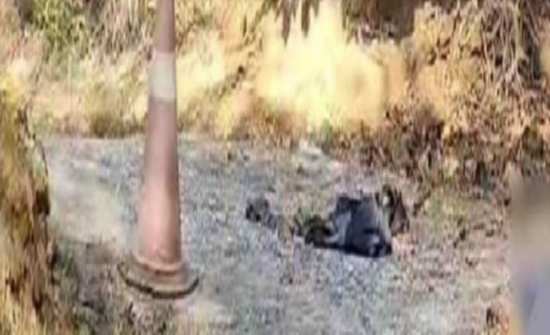 യുവാവ് സുഹൃത്തിനെ തലയ്ക്കടിച്ച് കൊലപ്പെടുത്തി