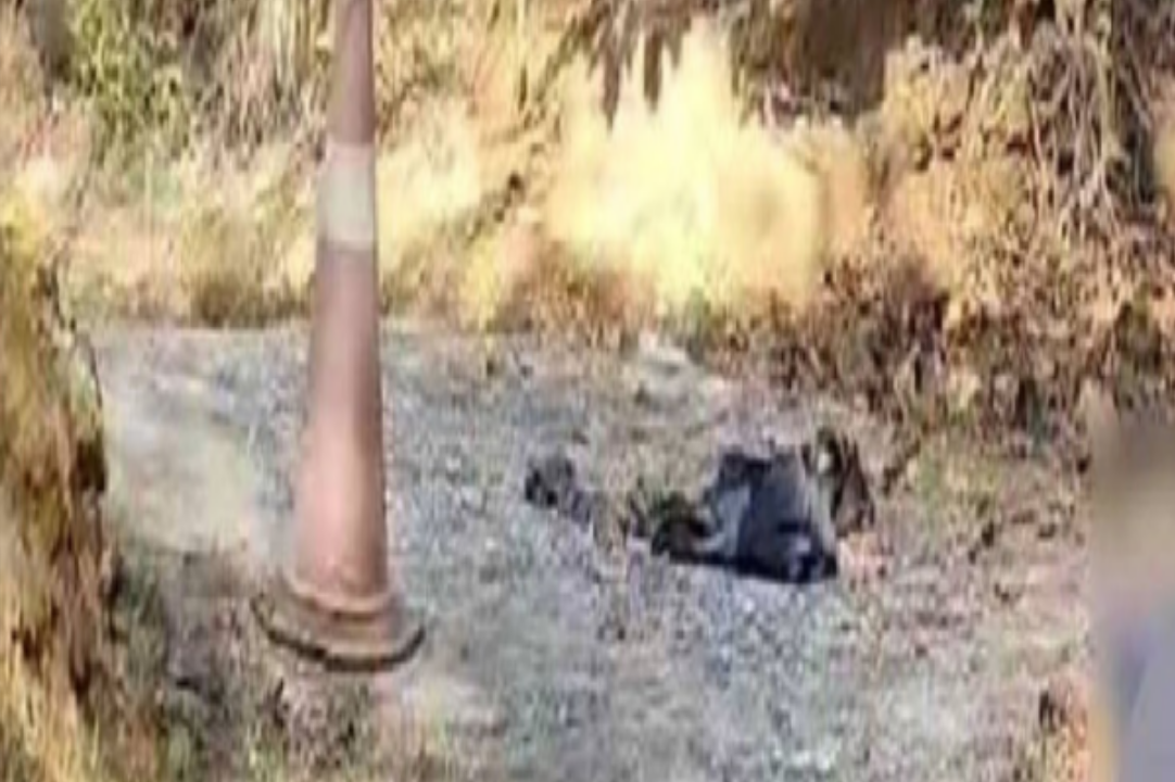 യുവാവ് സുഹൃത്തിനെ തലയ്ക്കടിച്ച് കൊലപ്പെടുത്തി