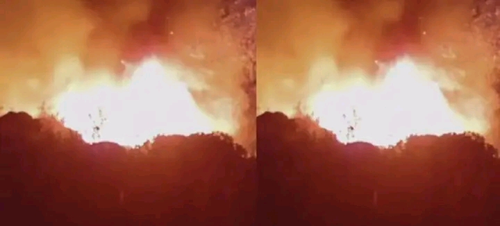 ചെല്ലാനം ഫിഷിങ്ങ് ഹാർബറിൽ തീപിടിത്തം; രണ്ട് ഫൈബർ വള്ളങ്ങളും പെട്ടിക്കടയും കത്തിനശിച്ചു