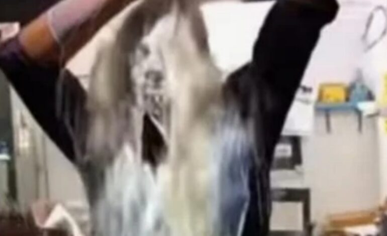 പാലൊഴിച്ച് പ്രതിഷേധിച്ച യുവാവിന്റേത് നാടകമെന്ന് സഹകര്‍ഷകര്‍