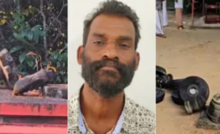 സർപ്പക്കാവിൽ അതിക്രമിച്ചുകയറി വിഗ്രഹവും ക്ഷേത്രസ്വത്തുക്കളും നശിപ്പിച്ച കേസിലെ പ്രതി പിടിയിൽ