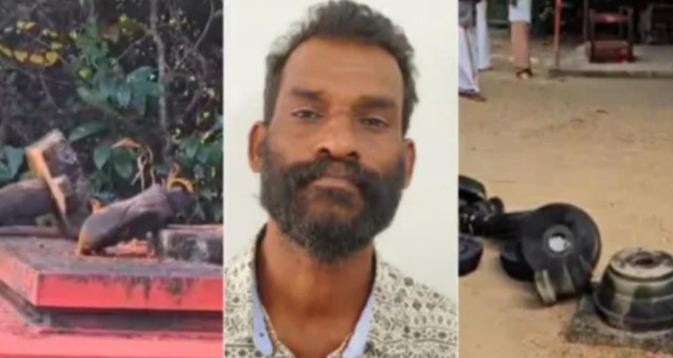 സർപ്പക്കാവിൽ അതിക്രമിച്ചുകയറി വിഗ്രഹവും ക്ഷേത്രസ്വത്തുക്കളും നശിപ്പിച്ച കേസിലെ പ്രതി പിടിയിൽ