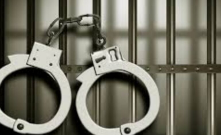 പ്രകൃതിവിരുദ്ധ പീഡനത്തിനിരയാക്കിയ കേസില്‍ ഒളിവിലായിരുന്ന പ്രതികള്‍ പിടിയില്‍