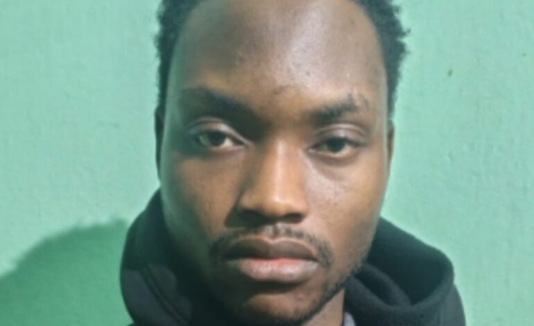 ലഹരിക്കടത്തിന്റെ അടിവേരു തേടി പോലീസ് :നൈജീരിയന്‍ സ്വദേശി അറസ്റ്റില്‍