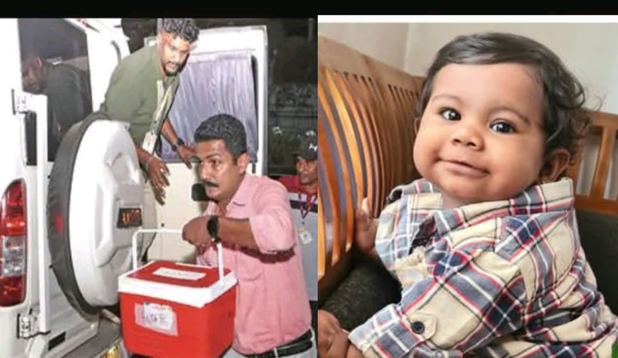 അഞ്ചുപേർക്ക് പുതുജീവൻ നൽകി കുഞ്ഞു ആലിൻ മടങ്ങി; സംസ്കാരം നാളെ മല്ലപ്പള്ളിയിൽ​