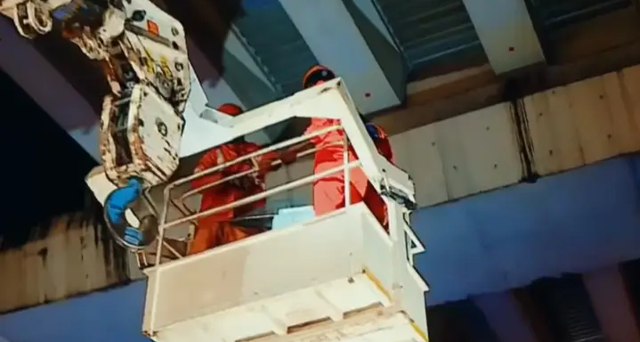 ഓപ്പറേഷൻ ‘സുഭാഷ്’ വിജയം; മെട്രോ തൂണിൽ കുടുങ്ങിയ പൂച്ചയെ പുലർച്ചെ ഒന്നരയോടെ താഴെ ഇറക്കി