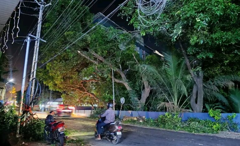 തൃശൂരിൽ   മരച്ചില്ല റോഡിലേക്ക് വീണ് ബൈക്ക് യാത്രികന് ഗുരുതര പരുക്ക്