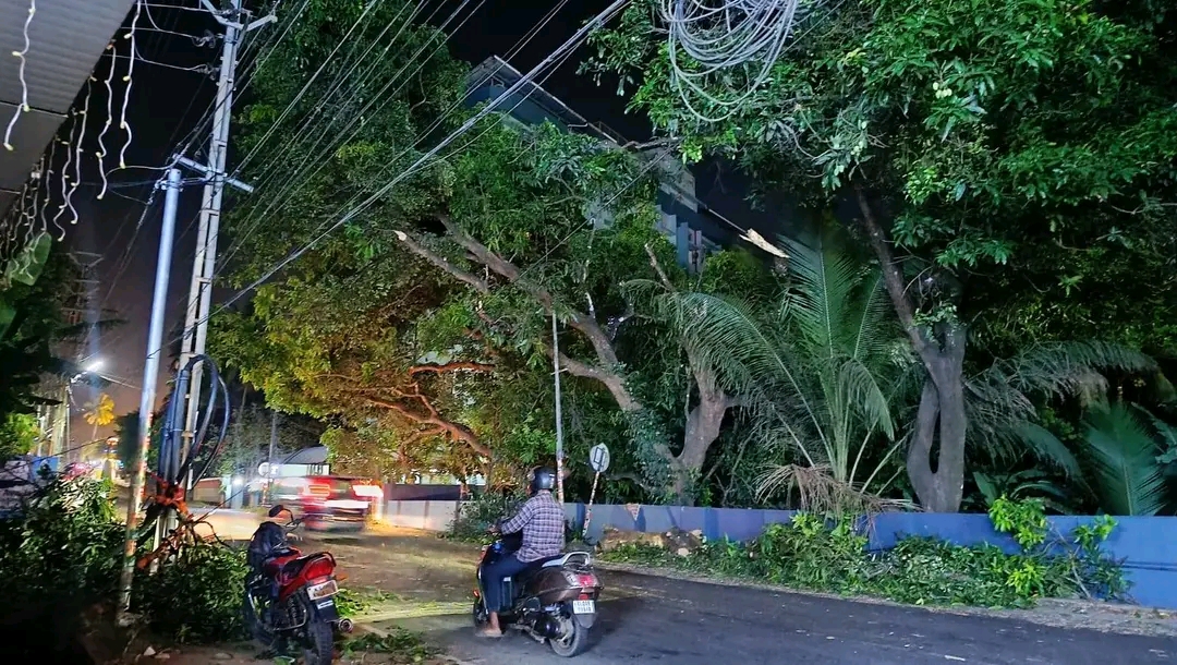 തൃശൂരിൽ   മരച്ചില്ല റോഡിലേക്ക് വീണ് ബൈക്ക് യാത്രികന് ഗുരുതര പരുക്ക്