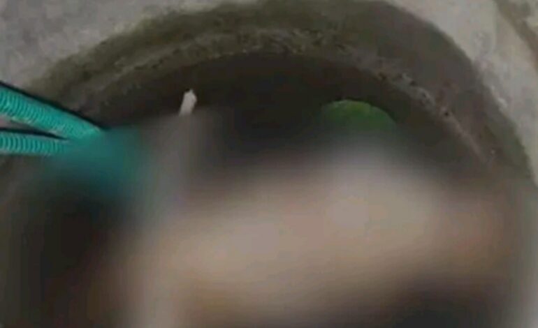 കുടിവെള്ളത്തിനായി ഉപയോഗിക്കുന്ന കിണറ്റിൽ സാമൂഹ്യ വിരുദ്ധർ നായയെ കൊന്നിട്ടു