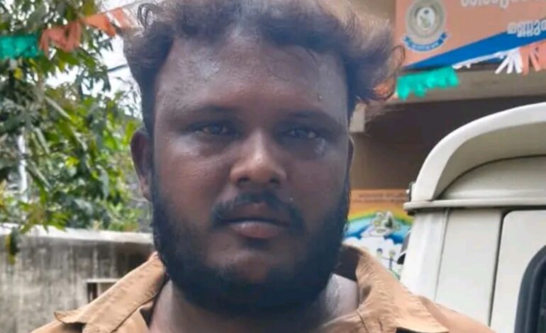 സുപ്രീം കോടതി നിരോധിച്ച ഓൺലൈൻ പടക്ക വ്യാപാരം. മണ്ണുത്തിയിൽ ഒരാൾ പിടിയിൽ