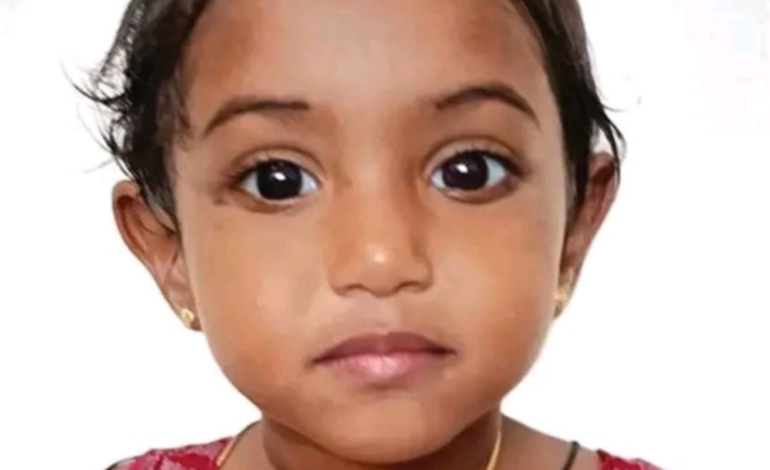 ദുബായിലെ ഫ്ലാറ്റിൽ നിന്ന് വീണ് ഇരിങ്ങാലക്കുട സ്വദേശിയായ മൂന്ന് വയസുകാരിക്ക് ദാരുണാന്ത്യം