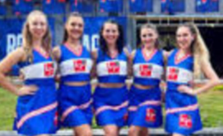 ഐപിഎൽ ലിൽ 20,000 രൂപയ്ക്ക് ചിയറായി ഈ ലേഡിസ്