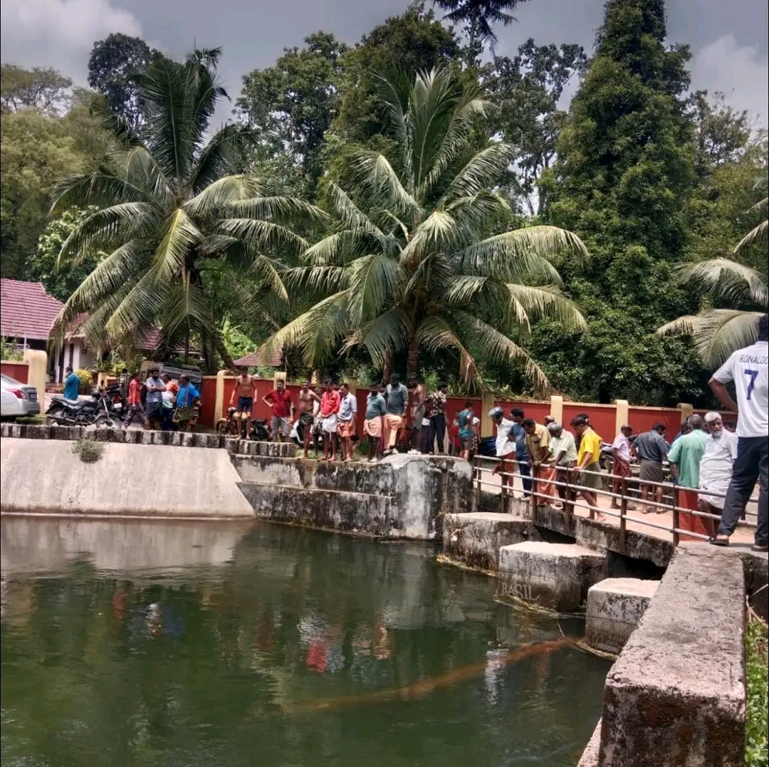 പെരുമ്പാവൂരിൽ കനാലിൽ കുളിക്കാനിറങ്ങിയ രണ്ട് കോളേജ് വിദ്യാർത്ഥികൾ ഒഴുക്കിൽപ്പെട്ടു മരിച്ചു