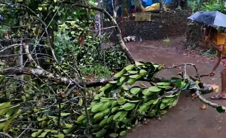 കുറ്റ്യാടിയിൽ കനത്ത വേനൽമഴശക്തമായ കാറ്റിൽ വ്യാപക നാശനഷ്ടം
